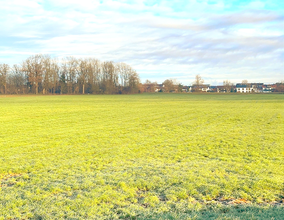 BlicknachNorden