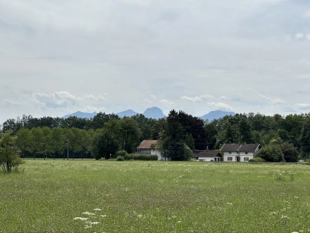 BlicknachSueden