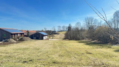 GrundstueckBlickRichtungOsten