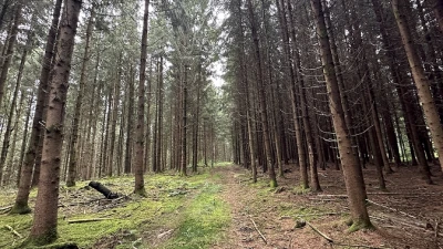Wald-undFeldweg