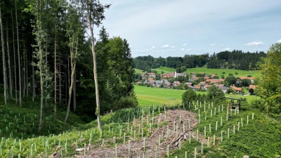 BlicknachNorden