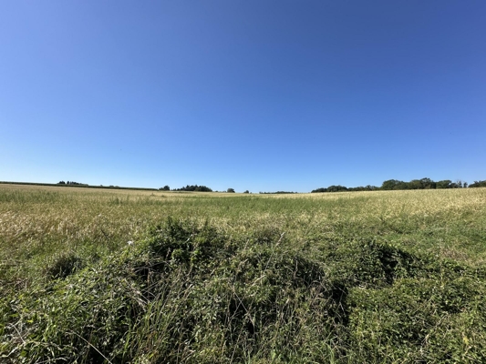 Aussicht nach Süden