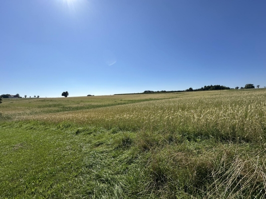 Aussicht von Südwesten