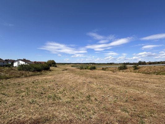 Blick über die Felder